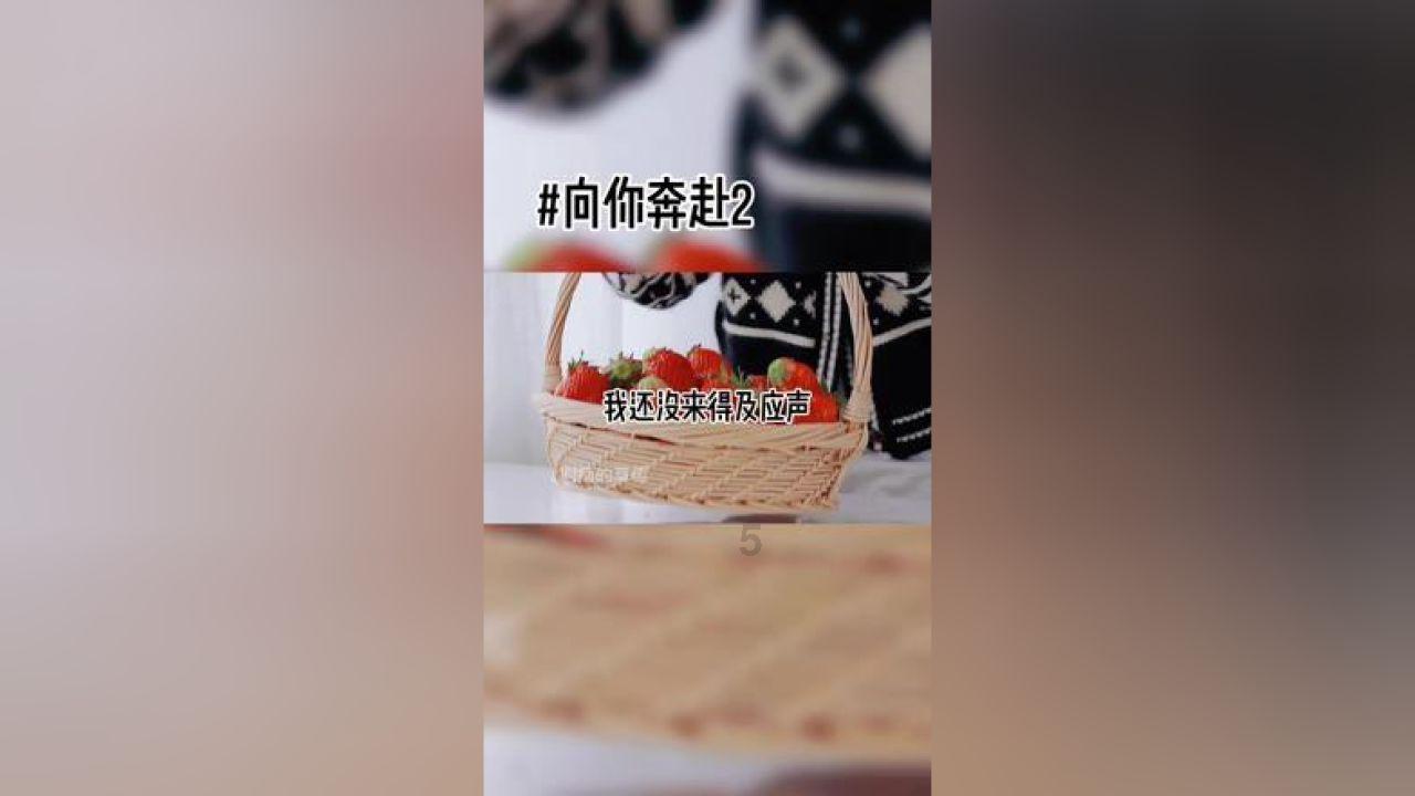 守护飞行城堡